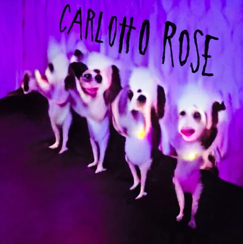 CARTEL PARA carlotto rose.jpg CARTEL PARA carlotto rose.jpg