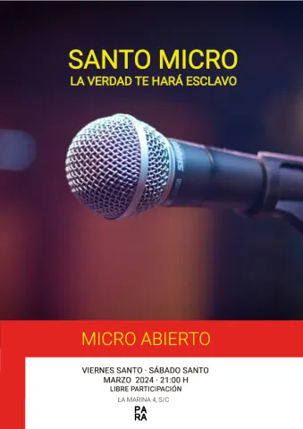 SANTO-MICRO.jpg