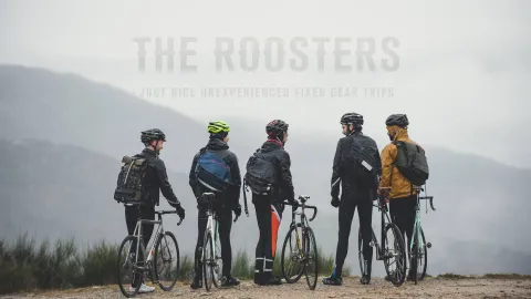 The Roosters.jpg