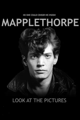 mapplethorpe_look_at_the_pictures-919401963-large.jpg