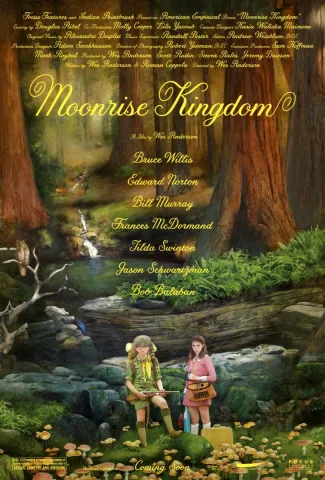 moonrise_kingdom-518937209-large.jpg