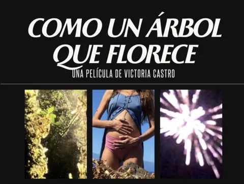 como un árbol...