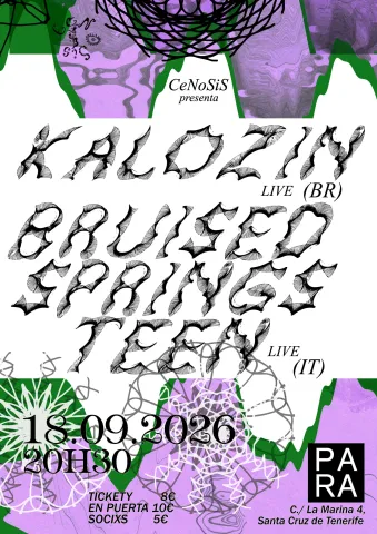 KALOZIN SEÑOR SERVICE